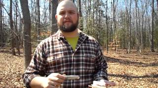 Introducing the FireBUG