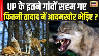 Wolf Attack News : Bahraich से Sitapur भेड़ियों का आतंक | UP News | CM Yogi | Bhediya | News18 India