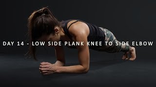 30 DAY ULTIMATE PLANK CHALLENGE - DAY 14