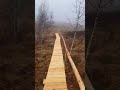 boardwalk for iezerul mare peatland poteca tematică realizată la tinovul iezerul mare