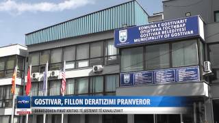 Gostivar, fillon deratizimi pranveror