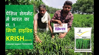 Pencil segment India best Chilli Hybrid KRISH पेंसिल सेगमेंट में भारत का न. 1 मिर्ची हाइब्रिड KRISH