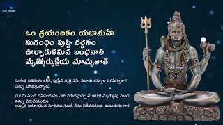 అప మృత్యు భయ, మృత్యుమ్జయ మార్కండేయ స్తోత్రం 🙏