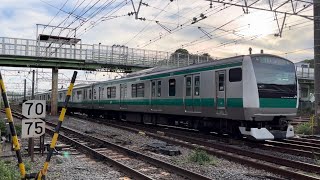 花月園前踏切にて、JR東日本E233系7000番台 通過シーン