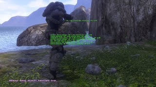 ManagedDonkey: Debug Globals