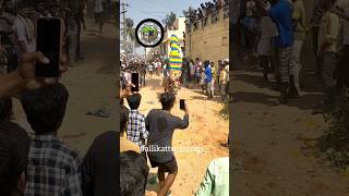 Jallikattu 2024|Komaragunta #jallikattu#chittoorjallikattu#bulldogs#bull#viral#trending#chittor#yt