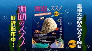 120007 宮崎大学ＭＡＧＡＺＩＮＥ　vol.12 2012年12月収録