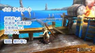 【MH3G HD】効率2PTサポ解説　進撃ドボル亜03'18\