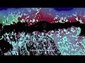 Carsten Halm - Schatten (Traum V274)