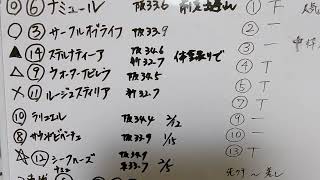 【るりちゃんねる】チューリップ賞2022 競馬予想