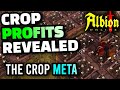 Albion Online: Is Growing Crops Even Worth It?