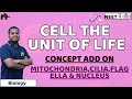 Cell The Unit of Life Class 11 Biology NEET | Cell Organelles Mitochondria Plastids Ribosomes