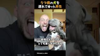 うつ病の犬を連れて帰った男性。 #感動する話 #泣ける話 #shorts