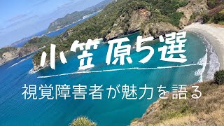 小笠原の父島　魅力5選とバリアフリーを徹底解説！視覚障害者が行く小笠原！