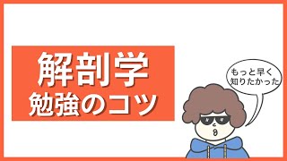 解剖学の勉強のコツ