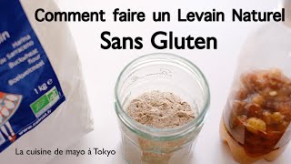 Comment faire un Levain Naturel Sans Gluten/ Sarrasin/ Explications Pas à Pas