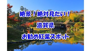 【滋賀県】絶景！絶対見たい！お勧め紅葉スポットまとめ