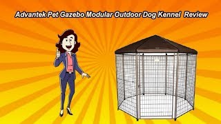 🐶 Best Advantek Pet Gazebo Modular Outdoor Dog Kennel Review 🐶