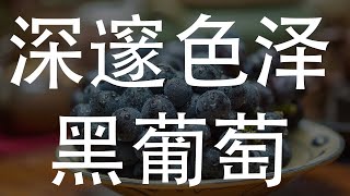 黑葡萄：品尝深邃色泽中的美味果实