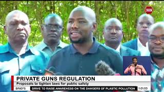 Private Guns Regulation: Proposals to tighten laws for public safety