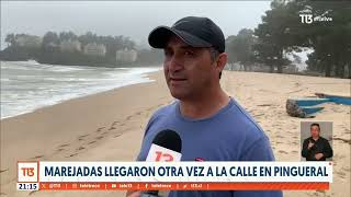 Marejadas dejaron sardinas en playa Pingueral en la región del Biobío