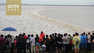 Natural wonder: Annual Qiantang River tidal bore underway