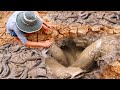 This Farmer Discovered Something Weird Under His Corn Field