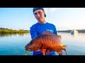 SUNSHINE COAST FISHING COMP 2019, behind the scenes with the Robinson Brothers ep35