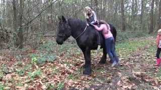 My Belgian Draft Horse and my Grandchildren