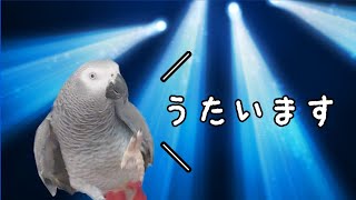 【作詞作曲ヨウム】摩訶不思議な歌の世界へようこそw