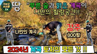 NO.101 : 푸른 나무와 맑은 계곡이 어우러진 이곳은 작은 나만의 힐링공간이되는 전원주택지,펜션부지 ,체류령농막의최적지 추천드립니다 #홍천부동산 #홍천전원주택지 #홍천토지매매