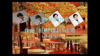 罗宾=片片的怀念。【田鸣词曲】。