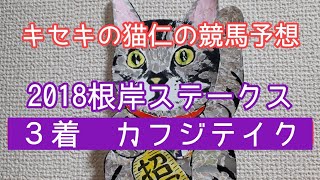 2018根岸ステークス　キセキの猫仁の競馬予想　ベストウォーリア出走取消後