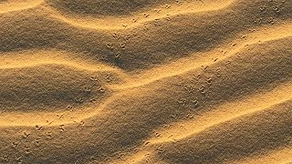 Monahans Sandhills State Park, Texas