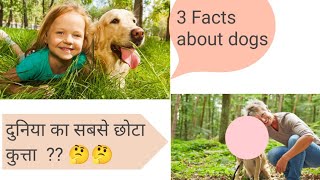 Facts about dogs #shorts #facts #dogfacts
