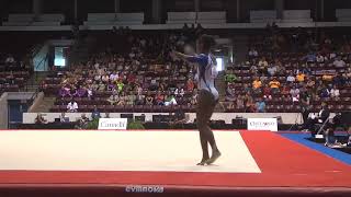 Yesenia Ferrera FX EF 2014 Pan American Championships