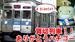 ありがとうハチゴーツアー第二弾！！あざみ野・青葉台を110km/hで通過する青帯8637Fの爆音高速走行を見届けてきた【東急田園都市線8500系】【クラブツーリズム】