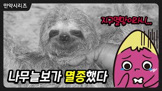 🍠 만약 나무늘보가 멸종한다면 무슨 일이 일어날까? (feat. 은신술)