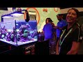 waterbox s aquarium review infinia peninsula reef tank