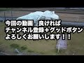 【福井県あわら市ランチ】老舗とんかつ店のジャンボ海老フライ定食がすごすぎた！！　十阡萬金津店【方言：ハイブリッド福井弁】