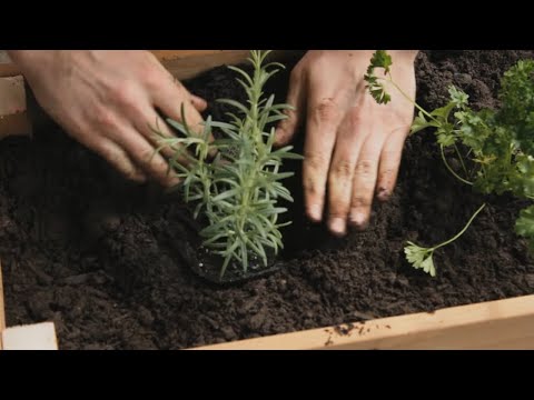 How To Build a Planter Box How To Build a Planter Box
