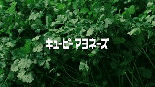 キユーピー マヨネーズ「コリアンダー」篇30秒 キユーピーCM