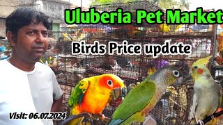 Recent Exotic Birds price update at Uluberia pet market on 06.07.24 #pets #bird #trending