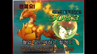 [산적왕] 랑그릿사 모바일 - 신비경 피닉스 70Lv 클리어 빌드(5성 레딘, 란포드)