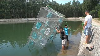 1000RMB to Contract Fish Ponds, The Super Big Surprised Boss and Saw How Many Fish Can be Produced