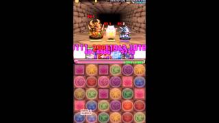 【パズドラ】メタゴル大発生　周回