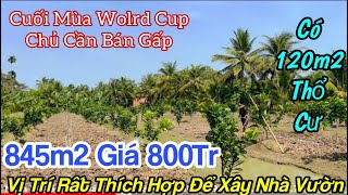 Tập 1898❤️🌸Gia đình có việc, chủ cần bán gấp, 845m2 có 120m2 thổ cư giá 800Tr,gần Trại Rắn Đồng Tâm