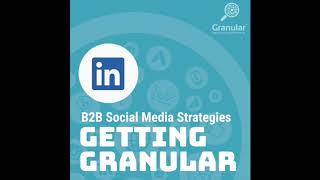 Why B2B Companies Need A Paid Social Media Strategy - Getting Granular - Episode 9