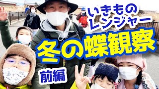 【平城宮跡】冬のちょうちょ観察会！第二弾！前編！いきものレンジャー！昆虫すごいぜ！