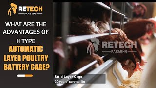 What are the advantages of H type automatic layer poultry battery cage? - RETECH Farming